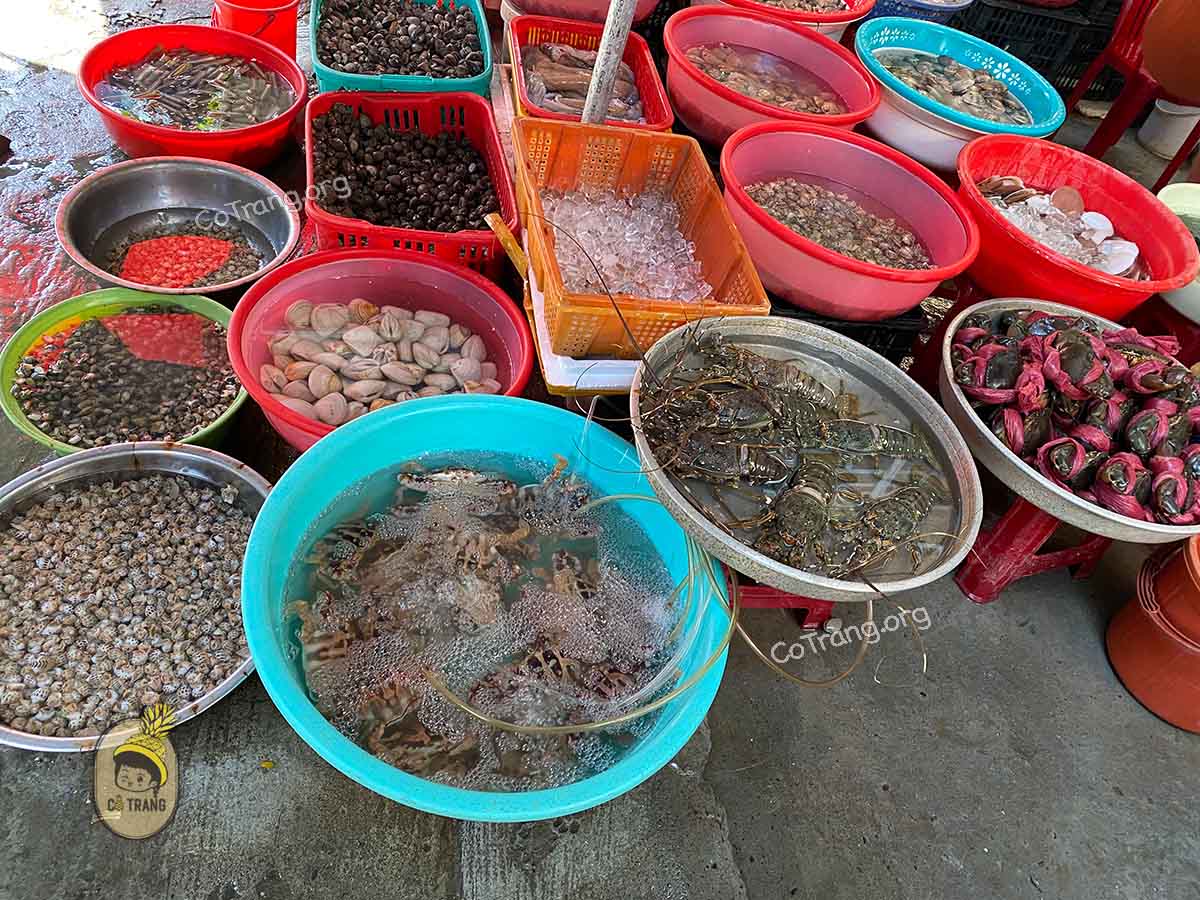 Hải sản tươi sống tại chợ Bắc Mỹ An Đà Nẵng